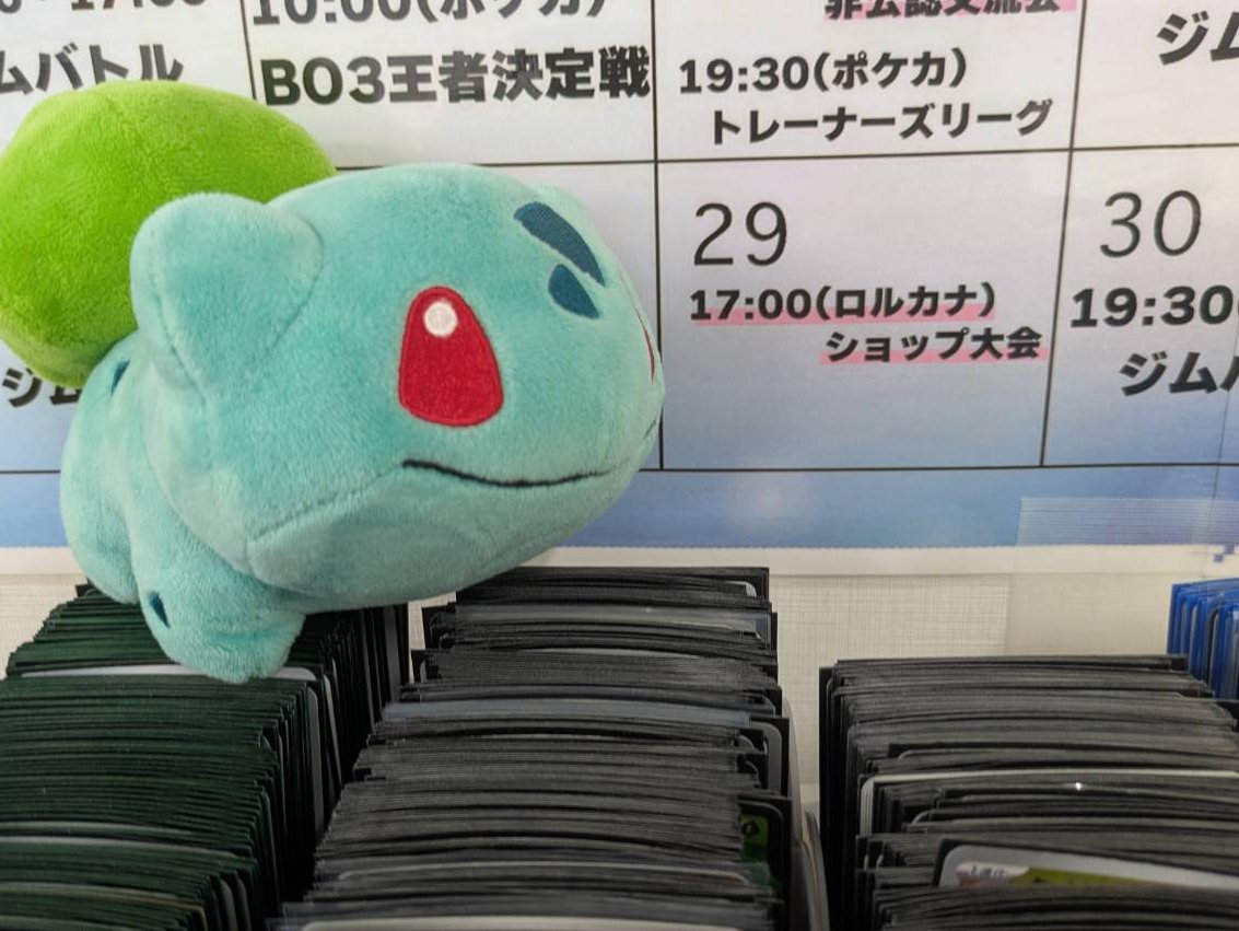 TOYGER_TCG's tweet image. おはようございます☀
本日もTOYGER TCG開店しました✨
17時~ #ロルカナ ショップ大会
19時~ #ポケカ BO3対戦会
みなさまのご参加お待ちしてます!!
買取/販売も元気にお待ちしております🪇🪇
#pokemon #ポケモンカード #秋葉原
