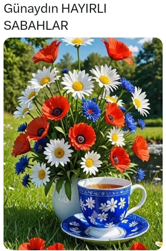 ÖZLEM AKYOL (@karslan1378) on Twitter photo 