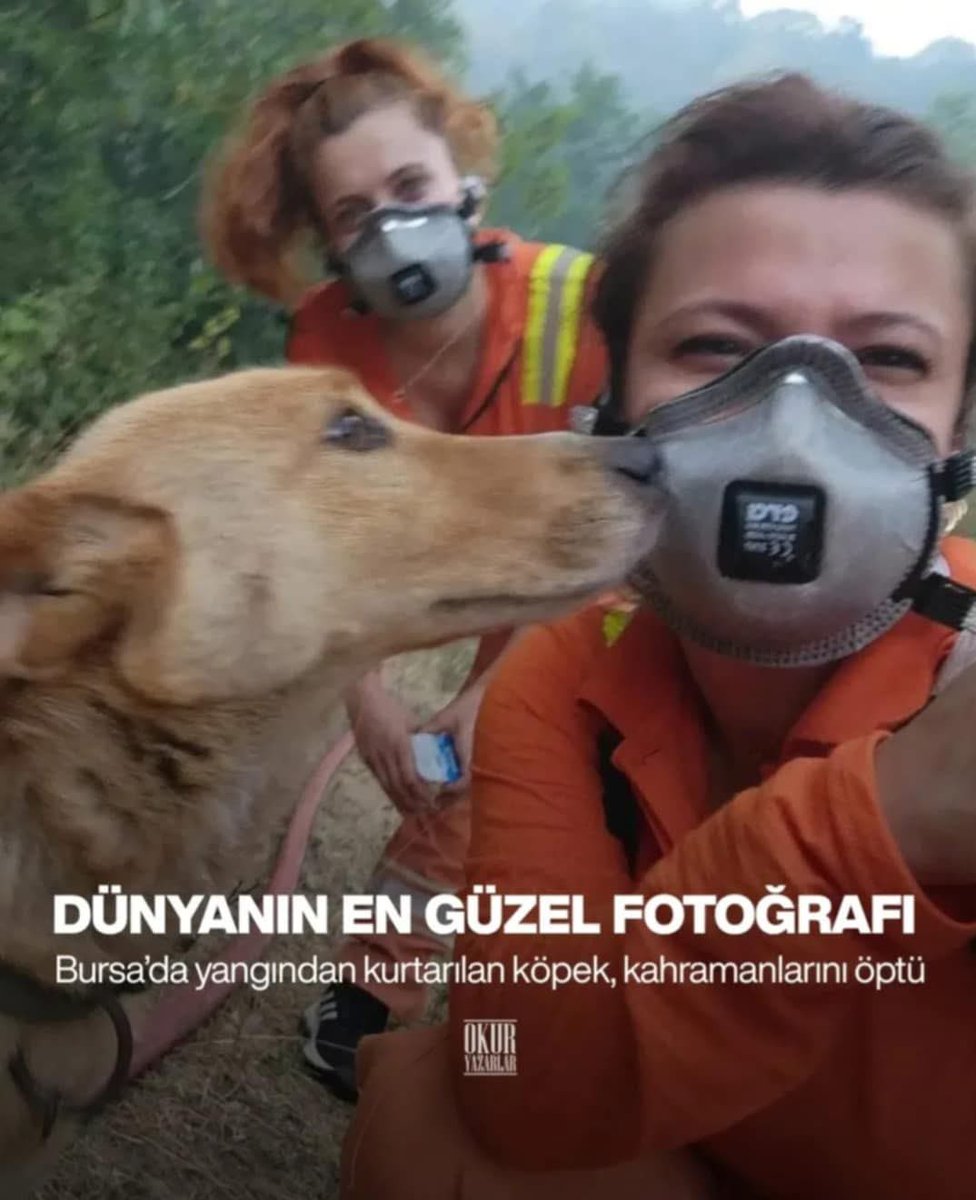 Dünyanın en güzel fotoğrafı. 🥰
#Salı