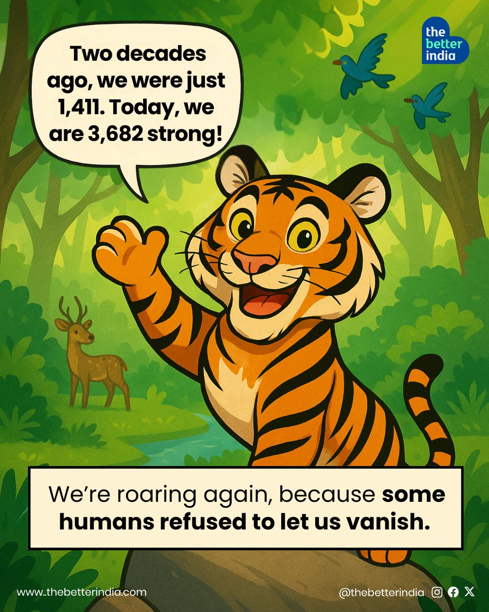 Not long ago, India’s forests were losing their roar.
A century ago, there were over 40,000 tigers in India. By 2006, their numbers had dropped to just 1,411.
(Data: Think Landscape, News On Air)Forests were cut. 

Poachers hunted. Tigers vanished, one after another. 

But some