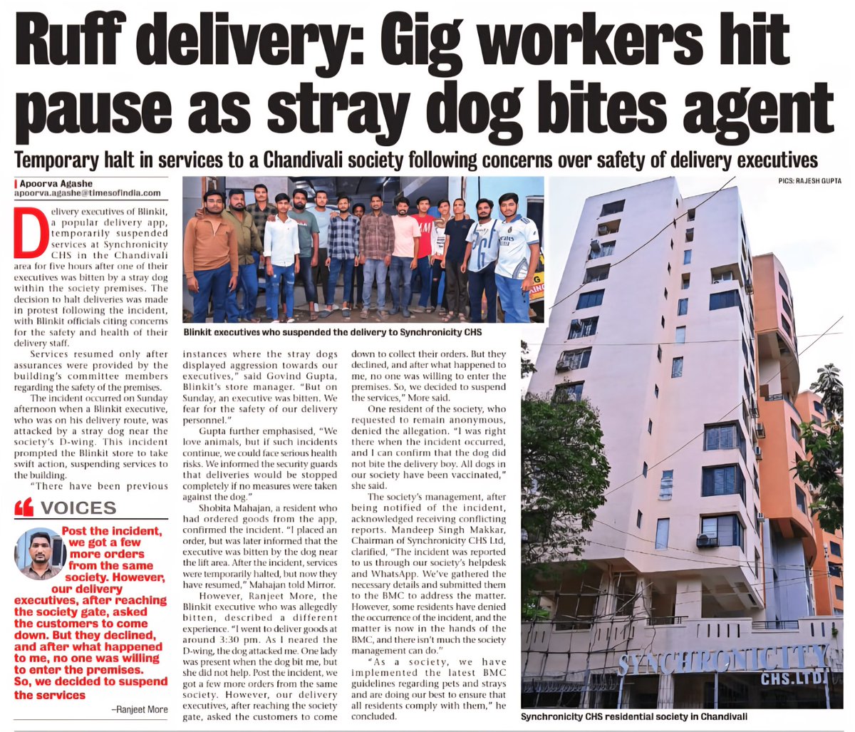 saucyspaghetti's tweet photo. @letsblinkit @albinder @rishi_arora11 @SajalGupta94 @mittalanumeha @khemka_prakriti A false dog biting report by one of your delivery partners has escalated to this. These are peaceful community dogs who have lived here for 8+ years and are vaccinated and neutered. https://t.co/uu0PRmQJ8T