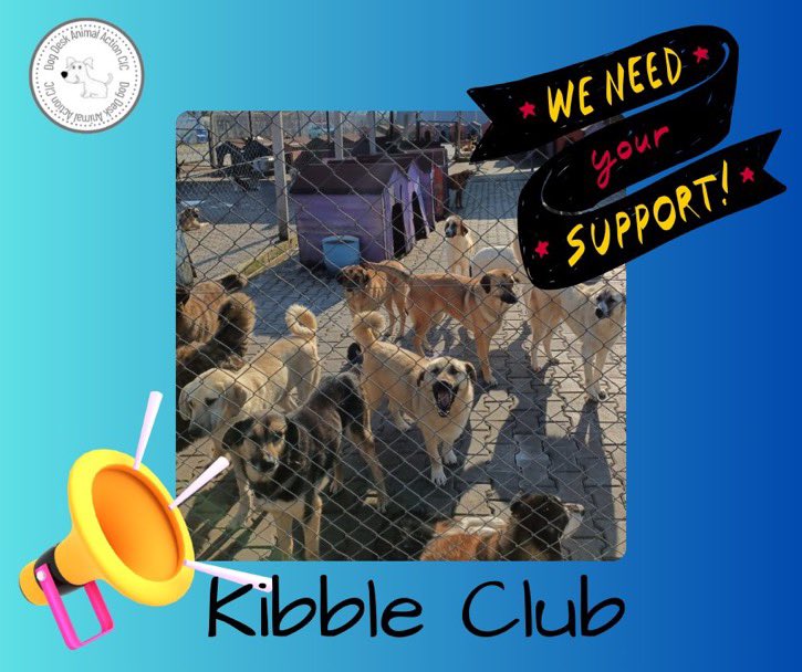 Lennon068's tweet image. Can you help @DogDeskAction please 

They need new #KibbleClub members to provide food security for homeless #dogs &amp;amp; #puppies 

Sign up here, just £2 a month  donorbox.org/kibble-club
or here paypal.com/paypalme/dogde…
(check monthly)