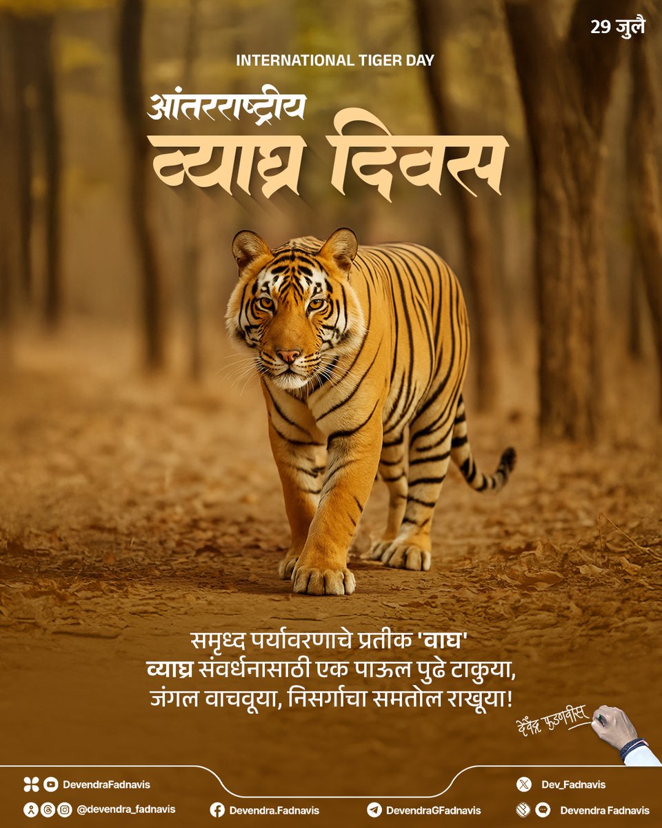 On this International Tiger Day, let’s take a step forward together and commit to tiger conservation to protect our forests, preserve ecological balance, and safeguard our environment.
आंतरराष्ट्रीय व्याघ्र दिवस..
समृध्द पर्यावरणाचे प्रतीक 'वाघ'. व्याघ्र संवर्धनासाठी एक पाऊल पुढे