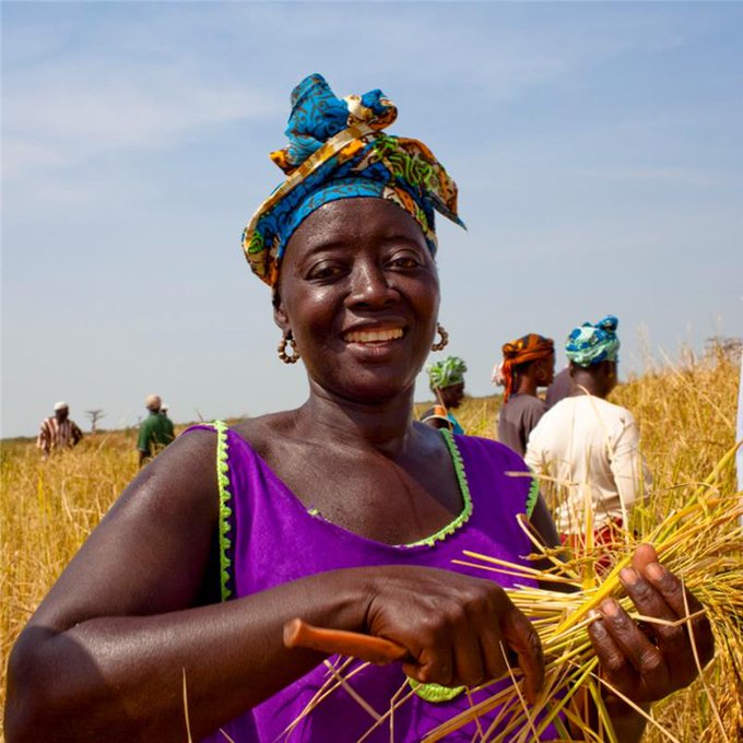 Les femmes rurales jouent un rôle crucial dans : 

 💵 la réduction de la pauvreté rurale  
🍅 une meilleure sécurité alimentaire 
🍌 une meilleure nutrition  
🌾 l’augmentation de la productivité agricole 

Investir dans les #FemmesRurales, c’est investir dans la prospérité.