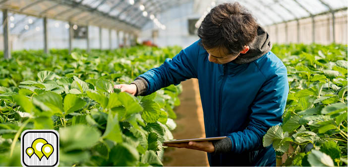 Biobest acquires Ecoation technology in commitment to support horticulture growers

Read more via #HortNews &gt;&gt; hortnews.com/articles/horti…

<a href="/biobest_global/">Biobest</a> #pollination #horticulture