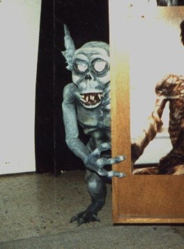 FungalCascade9k's tweet image. My basement goblin found out I brought back Popeyes chicken 