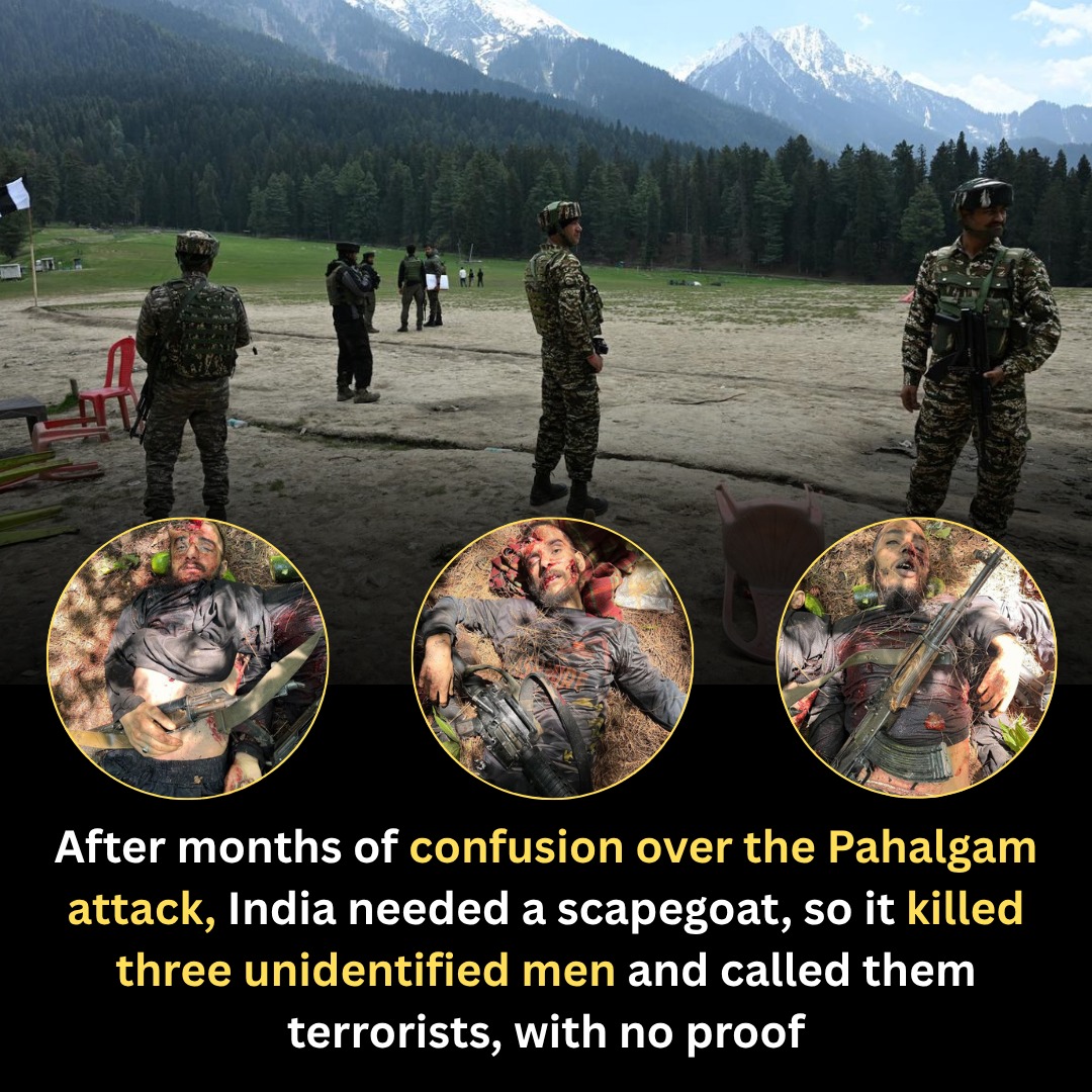 Shahid8482's tweet image. India totally fail to provide any evidence against Pakistan to involved in pehlgam attack in front of entire world.
Shame on Indian government.