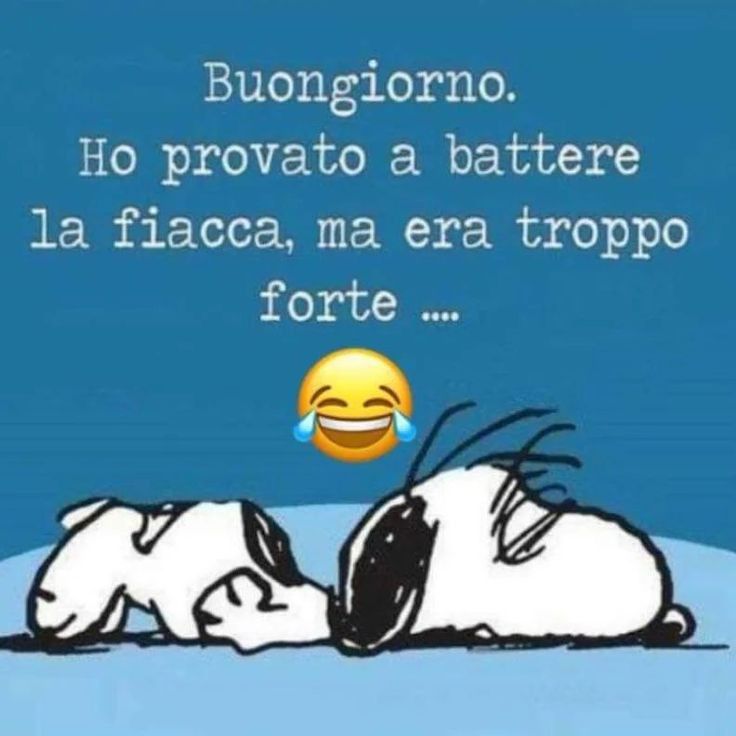luca_anastasi's tweet image. Buongiorno vi auguro una felice giornata qui freddina 🥶☕️🌞🤗😘🥰⚘️🎶🎶eh niente..🤷♂️😅😅
#BuongiornoATutti