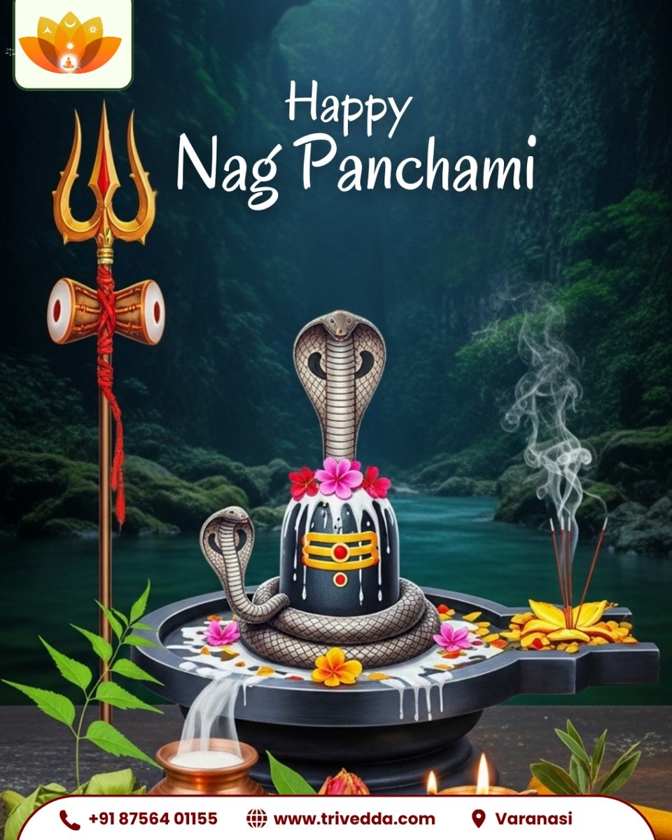 trivedda's tweet photo. On this sacred occasion of Nag Panchami, may Lord Shiva and Naag Devta bless you with protection, prosperity, and inner healing.
✨ Happy Nag Panchami!
🌐 https://t.co/g0jdSO53hP
📍 Varanasi
📞 +91 87564 01155

#NagPanchami #Trivedda #NaagDevta #Shivling #AyurvedaHealing https://t.co/a3ApN4LWId