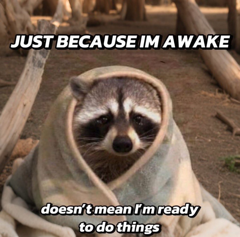 Shiv is a velociraptor🥢🪷🎗️🇺🇦 (@shiv_who_burns) on Twitter photo 