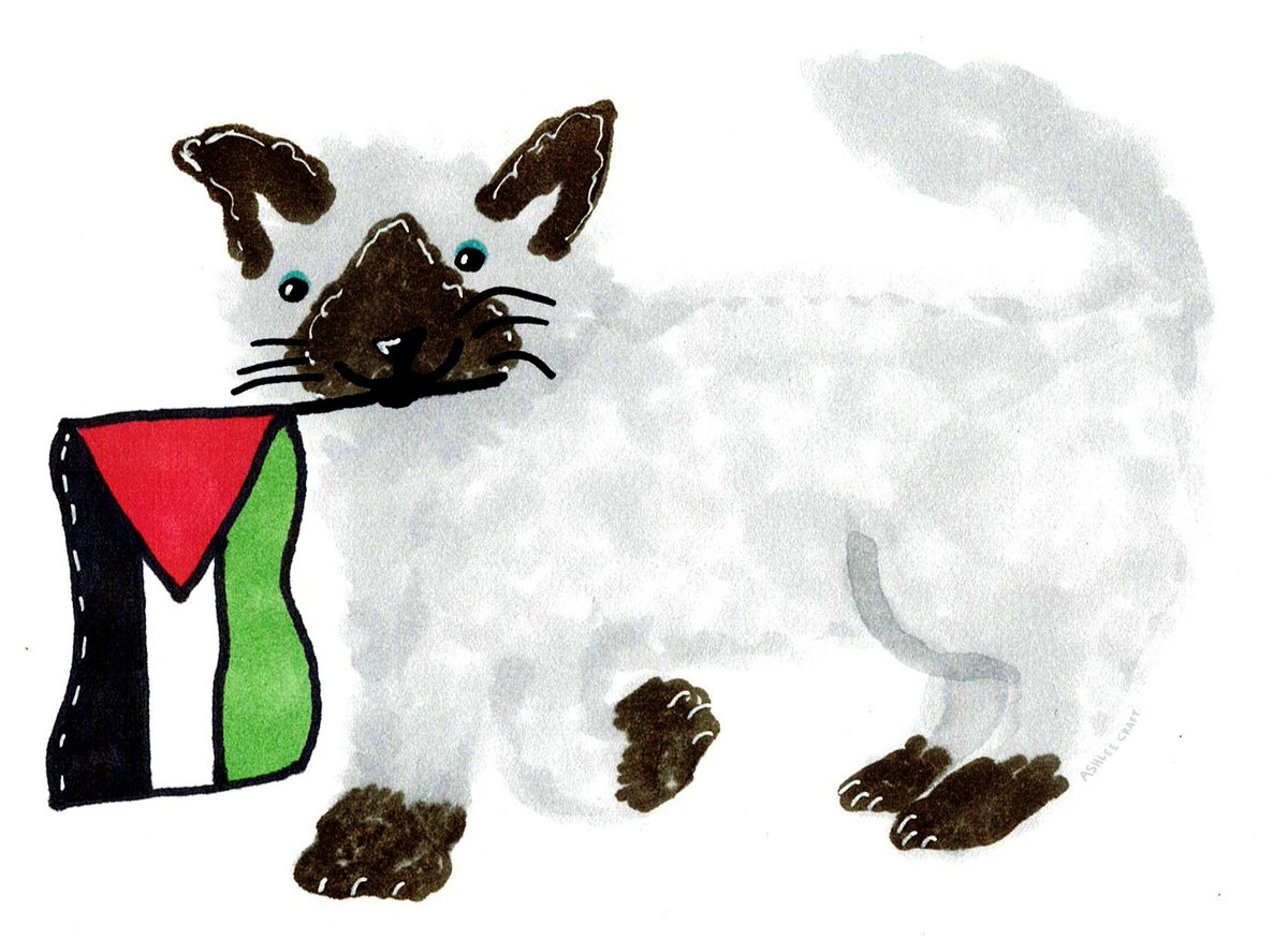 Ashlee Craft 🏳️‍🌈🍉 he/they 🐀 tweet media