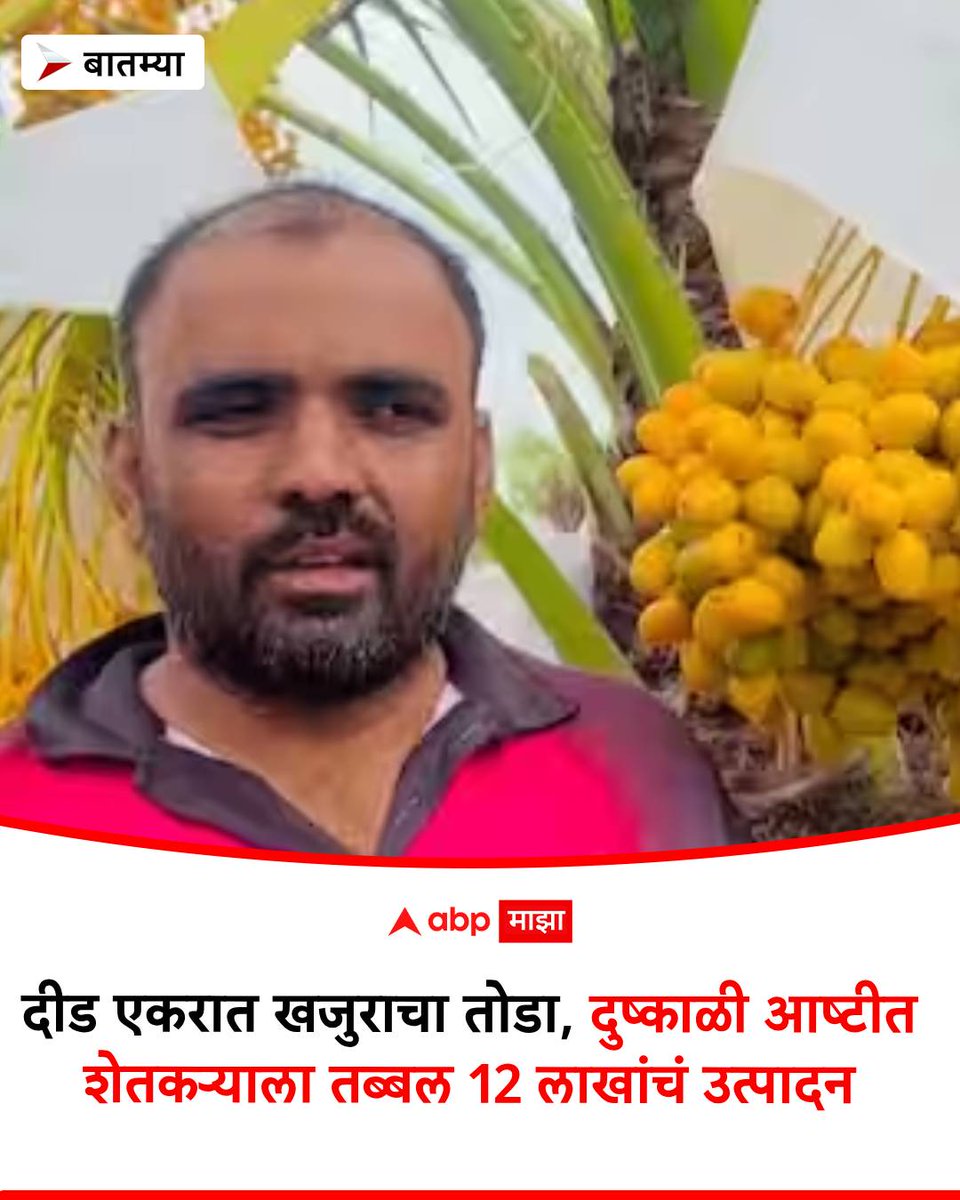 abpmajhatv's tweet photo. Beed Success Story: सध्या बागेतील खजुराचा तोडा सुरू असून, हे उत्पादन राज्यातील विविध भागांबरोबरच परराज्यातही पाठवले जात आहे. #successstory #BEED #DateFarming #beedagriculture #AgricultureSuccess
https://t.co/wE3Gdu1p8C https://t.co/RVRt1nw84S