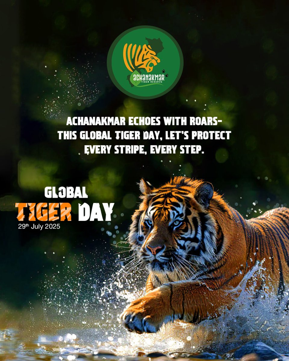 AchanakmarTiger's tweet photo. Achanakmar echoes with power &amp; pride. This Global Tiger Day, let's unite to protect every stripe, every step, every roar. #GlobalTigerDay #AchanakmarTigerReserve #SaveTigers #ProtectTheWild #StripesOfPride #WildlifeConservation #RoarForTigers #TigerHabitat #EveryStripeMatters https://t.co/WUg0ltVdOF