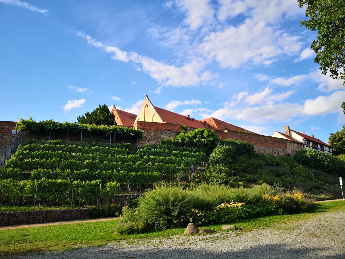 🎬 Sommerkino für Kids &amp; Teens am 30.07. im Seepark Prenzlau:
Gezeigt wird „SUPERPETS“ – Decke, Snacks und Picknickkorb nicht vergessen!
🎟 Eintritt: 5 € | Start: 17 Uhr | Einlass ab 16 Uhr
#Uckermark #KinoOpenAir #Prenzlau #Ferienzeit #Uckermark_erleben