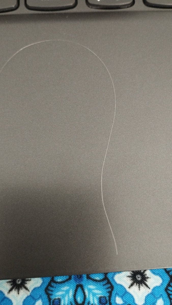 coelogyneblc's tweet photo. My first uban  🥹 https://t.co/mnHDZMxYJs