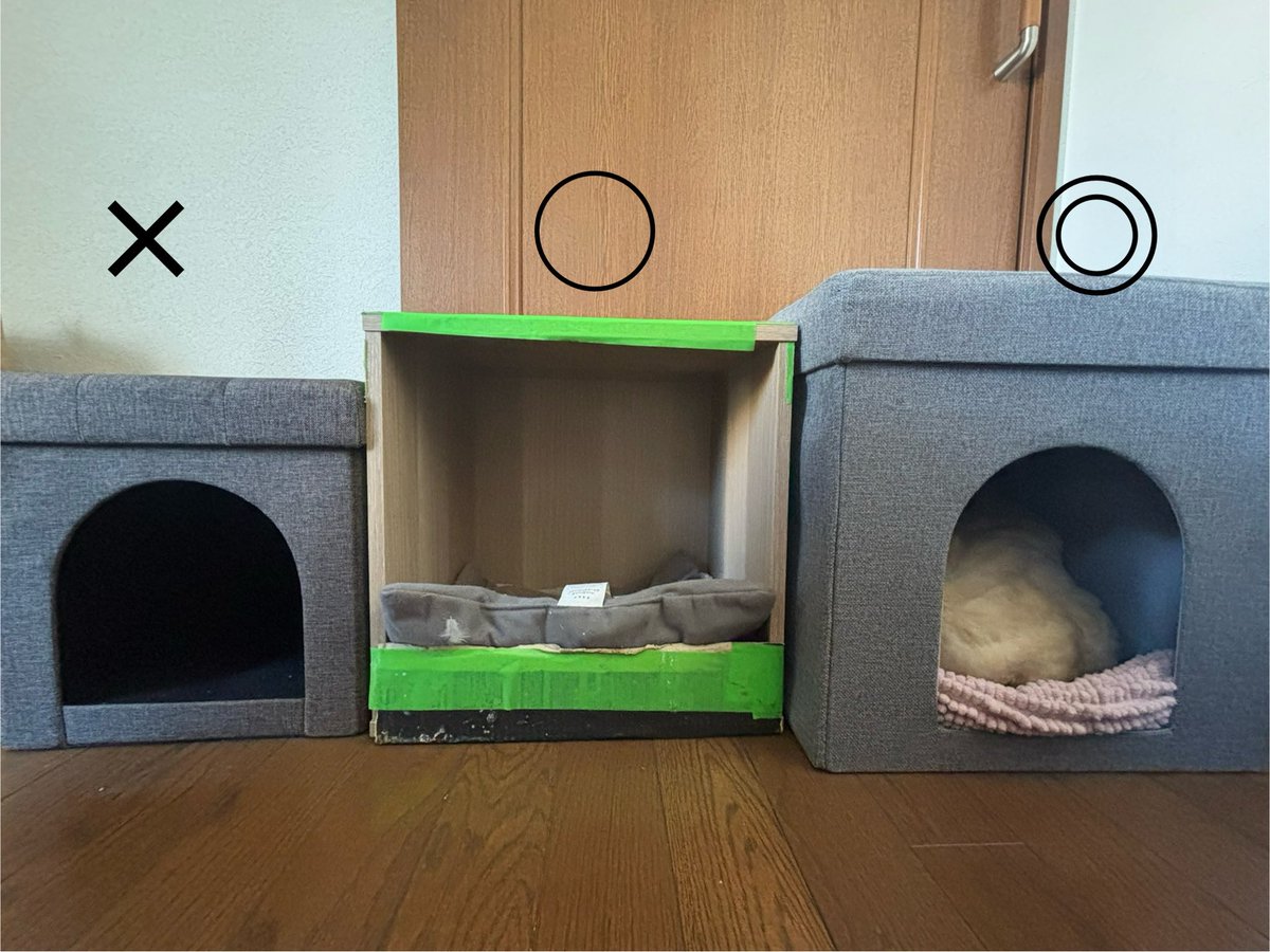 mii11119's tweet image. ひよちゃんの巣の好み