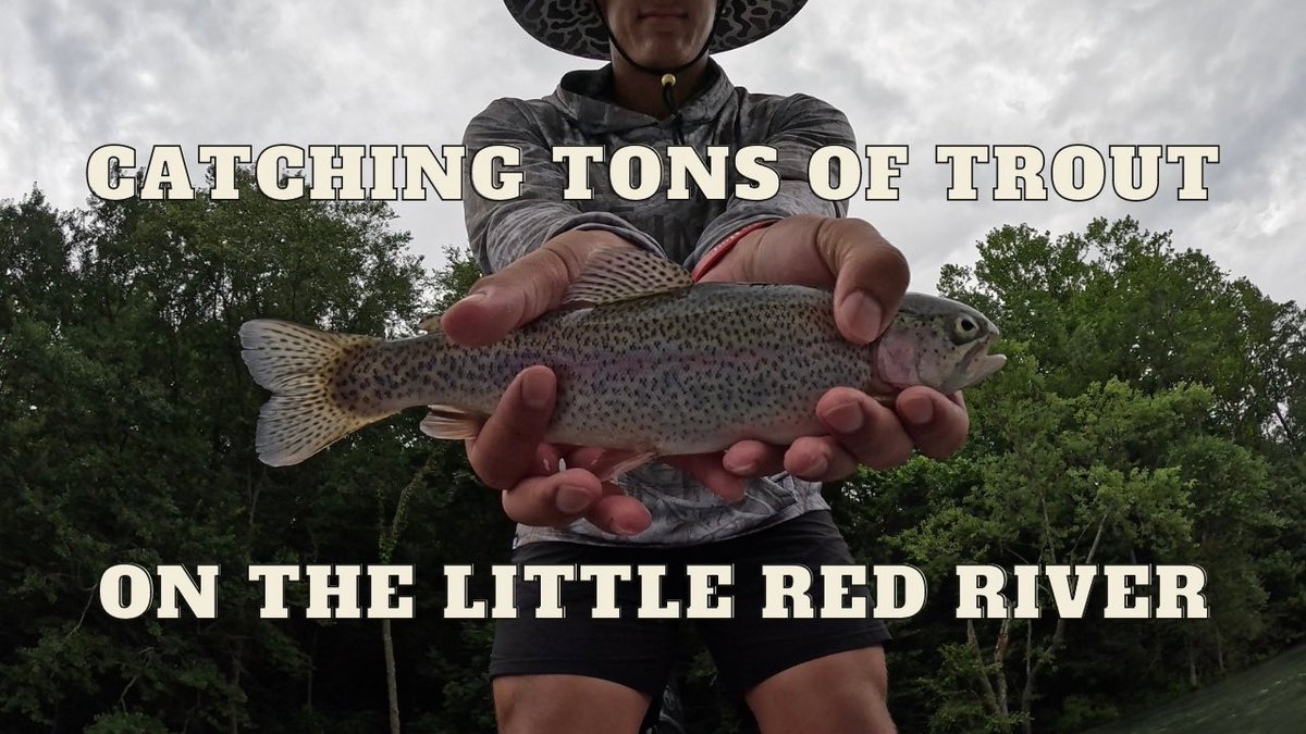 Full version of trout fly fishing video coming out 7/29 at 5pm CST

youtube.com/@polebendahs?s…