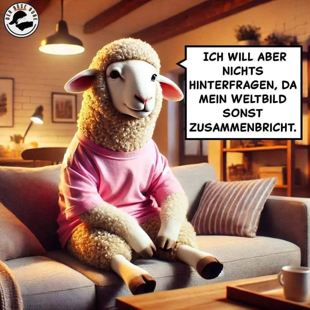 IchLeilaRuth's tweet image. 