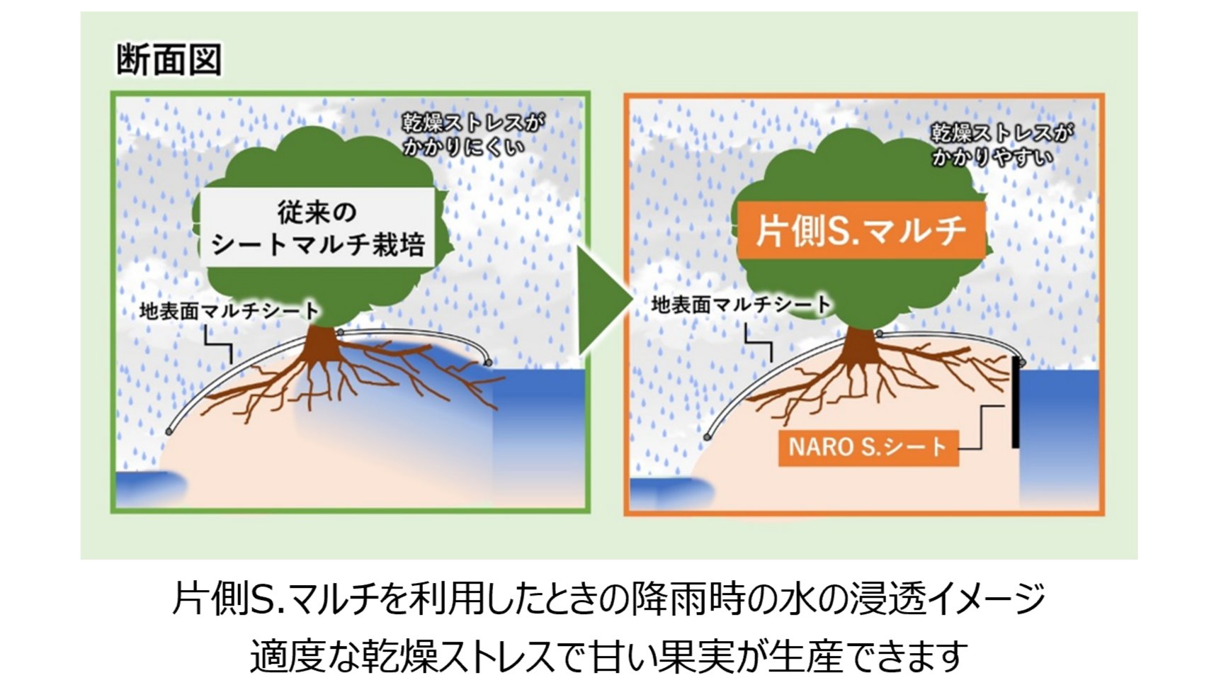 みかんページ ベイシア みかんゼリー 180g×24個|まとめ買い 業務用 送料無用