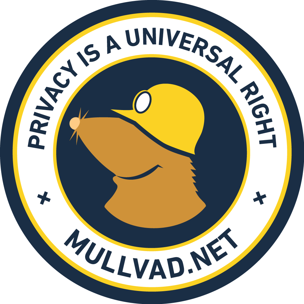 Mullvad VPN costs 5 dollars a month

But it is the only VPN that has been raided by the police and came out with nothing because they don't store any data