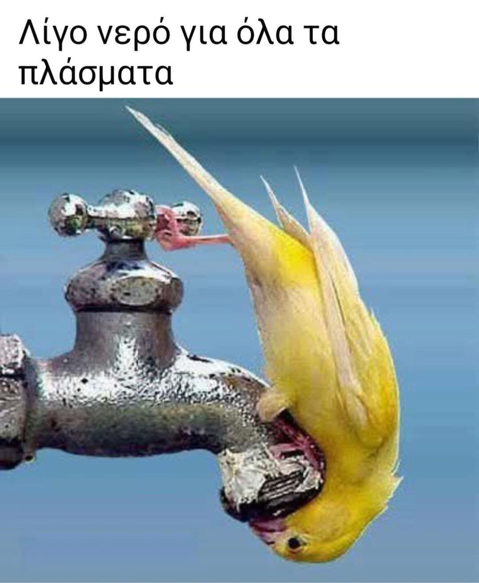 Νεράκι για τις ψυχούλες 🐕🐕🐕🐕🐕🐕🐕🐕🐕🐕‍🦺🐕‍🦺🐕‍🦺🐕‍🦺🐕‍🦺🐈🐈🐈🐈🐈🐈🐈🐈🐈🐈‍⬛🐈‍⬛🐈‍⬛🫏🫏🫏🫏🫏🫏🐴🐴🐴🐴🐴🐎🐎🐎🐎🐎🐎🐇🐇🐇🐇🦔🦔🦔🦔🦔🦔🐦🐦🐦🐦🐦🐦🐦🐦🐦‍⬛🐦‍⬛🐦‍⬛🐦‍⬛🐦‍⬛🐦‍⬛🐦‍⬛🐦‍⬛🦉🦉🦉🦉🐢🐢🐢🐢🐢🦋🦋🦋🦋🦋🐝🐝🐝🐝🐝🐝🐝🐞🐞🐞🐞🐞❤️❤️❤️❤️❤️❤️❤️❤️❤️❤️❤️❤️❤️❤️❤️❤️❤️❤️❤️❤️❤️❤️❤️❤️❤️❤️❤️❤️❤️❤️❤️❤️❤️