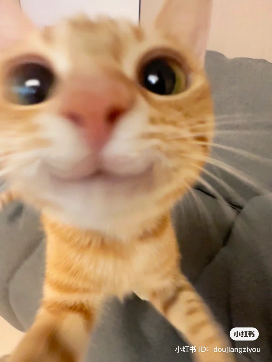 softoytaetae's tweet image. “you got games in your phone?”