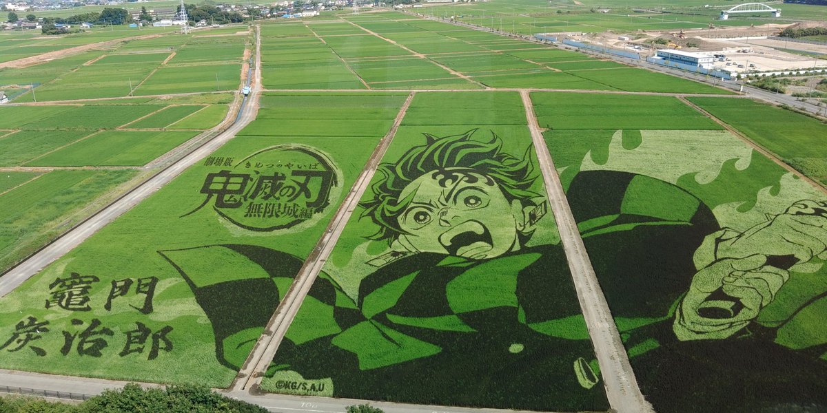 ハタケカカシ tweet media