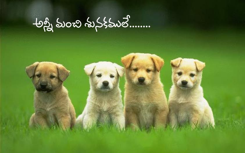 funcounter's tweet image. 