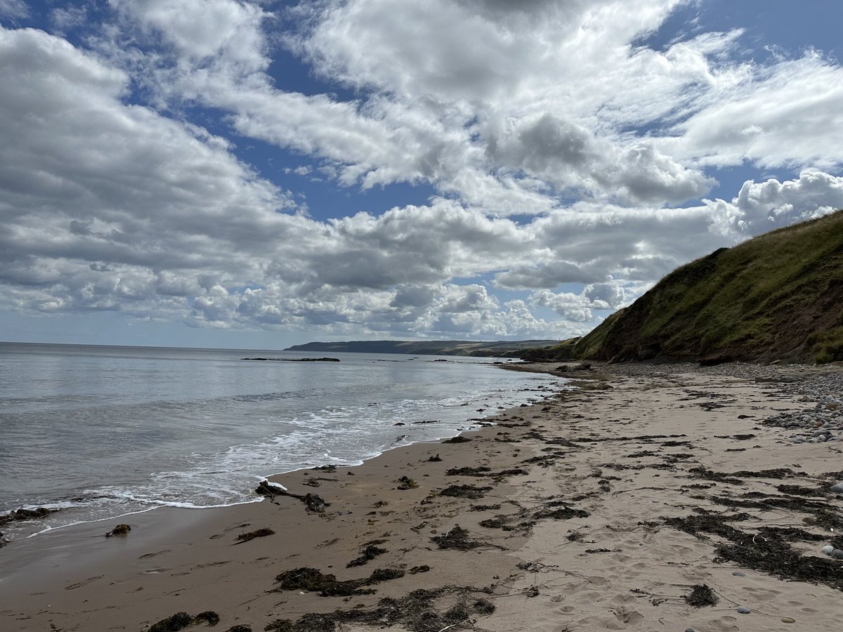 KinlochSusan's tweet image. Beach day #memories ๐ถ๐ด๓ ง๓ ข๓ ณ๓ ฃ๓ ด๓ ฟโ๏ธ
