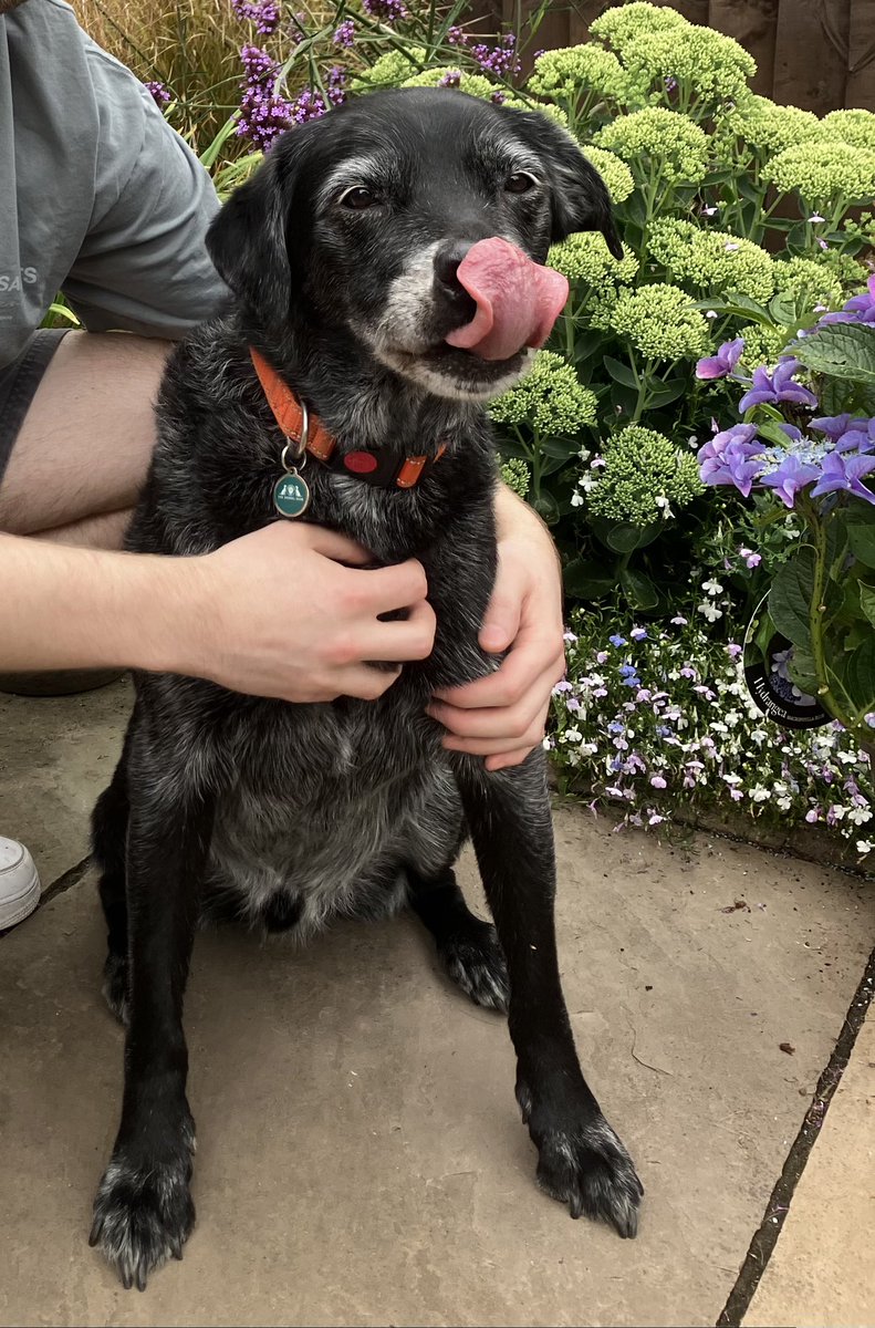 Not all photos happen first time. #tongueouttuesday 😉🐾🐾