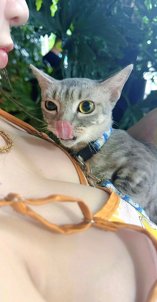 Ng ta đối sử tệ với anh, anh trách họ là đủ rồi mà..
Sao còn quay qua móc em ?