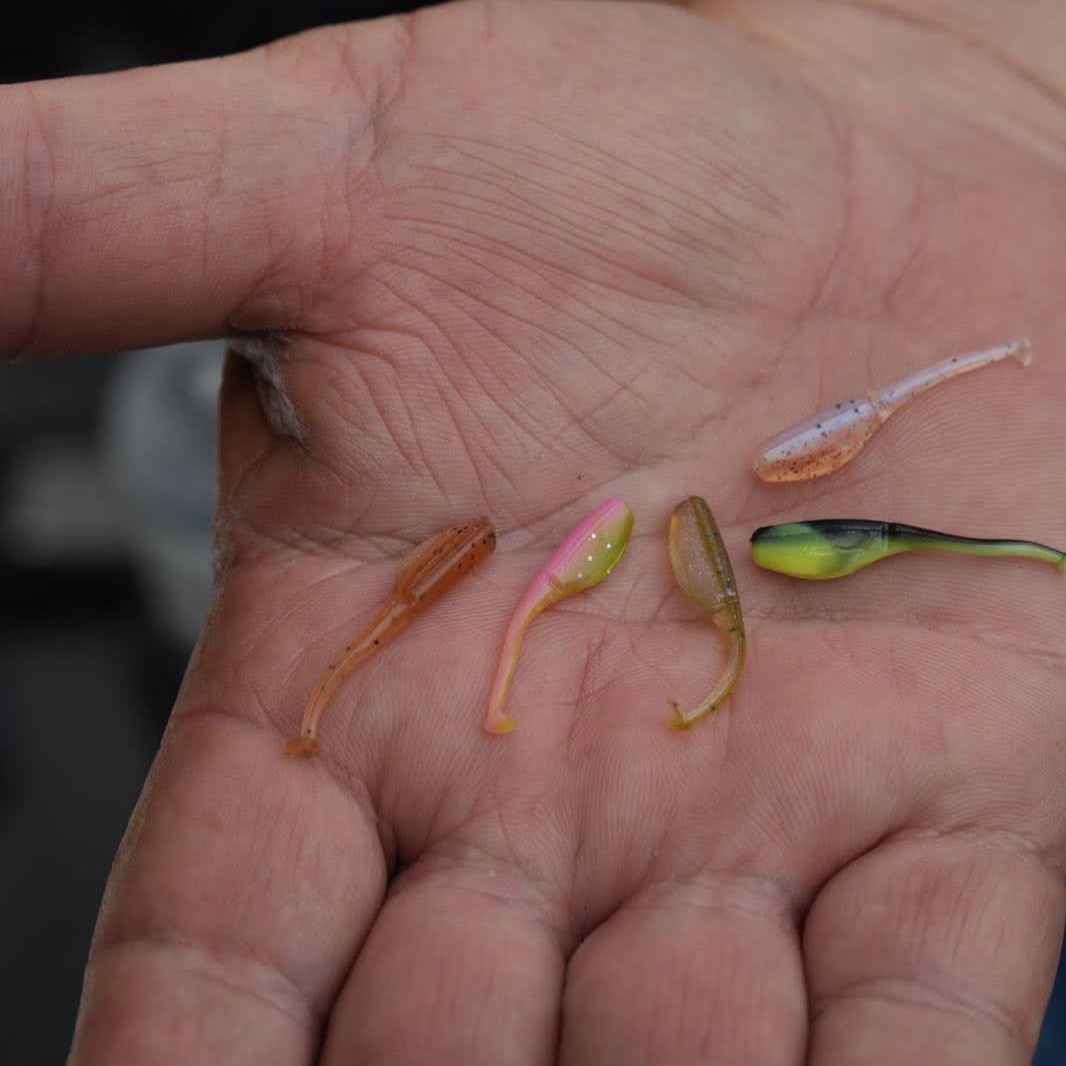 I like using the Bobby Garland Swim’R Itty Bits because they're smaller, life-like presentation, and have a wide range of colors. Check out the Itty Bit lineup online or at Bass Pro Shops.

basspro.com/p/bobby-garlan…

#BassProShops #BobbyGarlandCrappieBaits #CrappieDan #CrappieMates