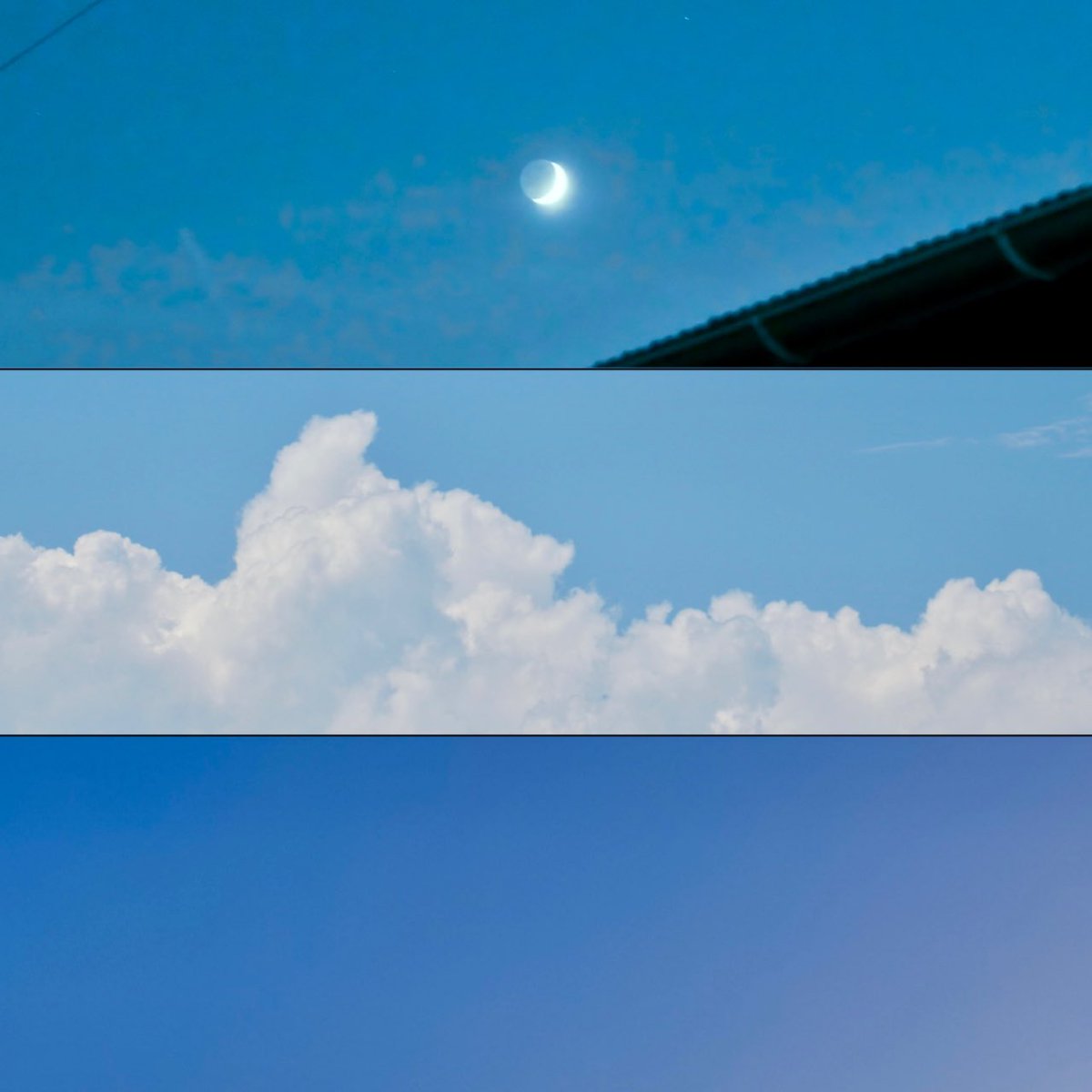 C_O_SK's tweet image. 