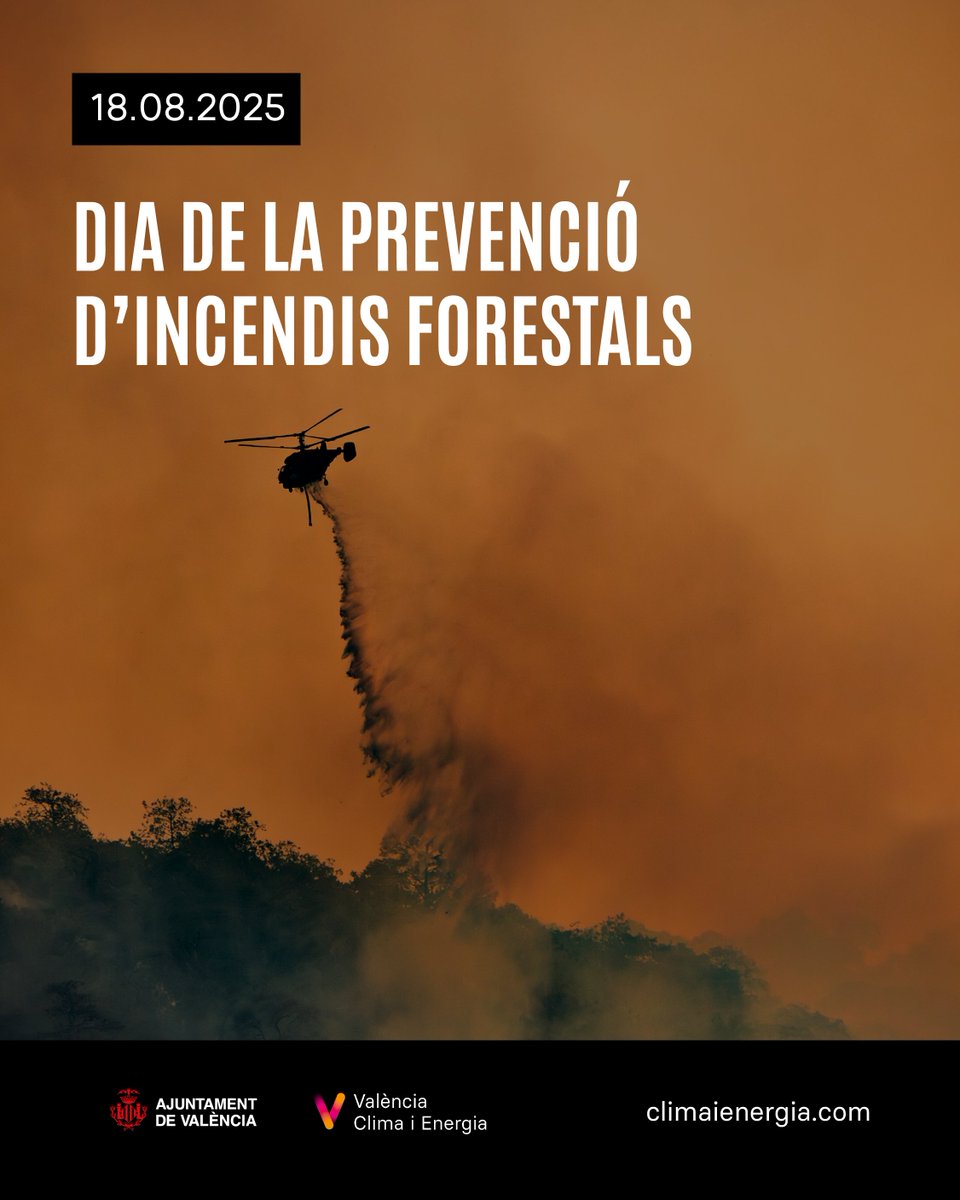 Cap pais del món es lliura del risc d’incendis forestals, on grans masses d'arbres queden incinerades, arrasant amb la vida que alberguen aquests boscos. 🌳
Cuidem i mantinguem els nostres boscos!💚
🔗 climaienergia.com