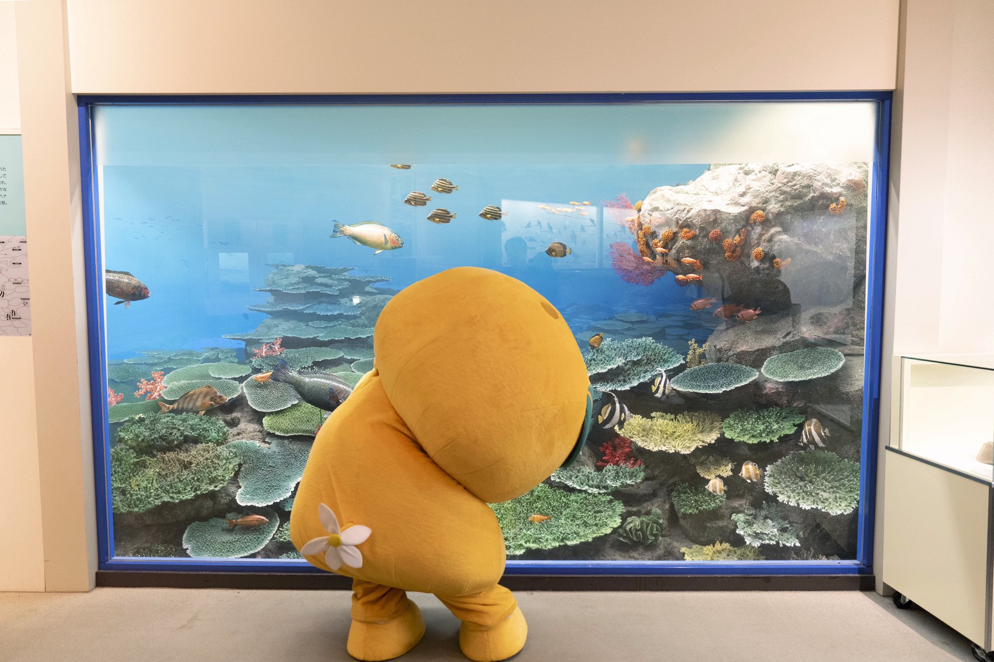 みきゃん【公式】《愛媛県イメージアップキャラクター