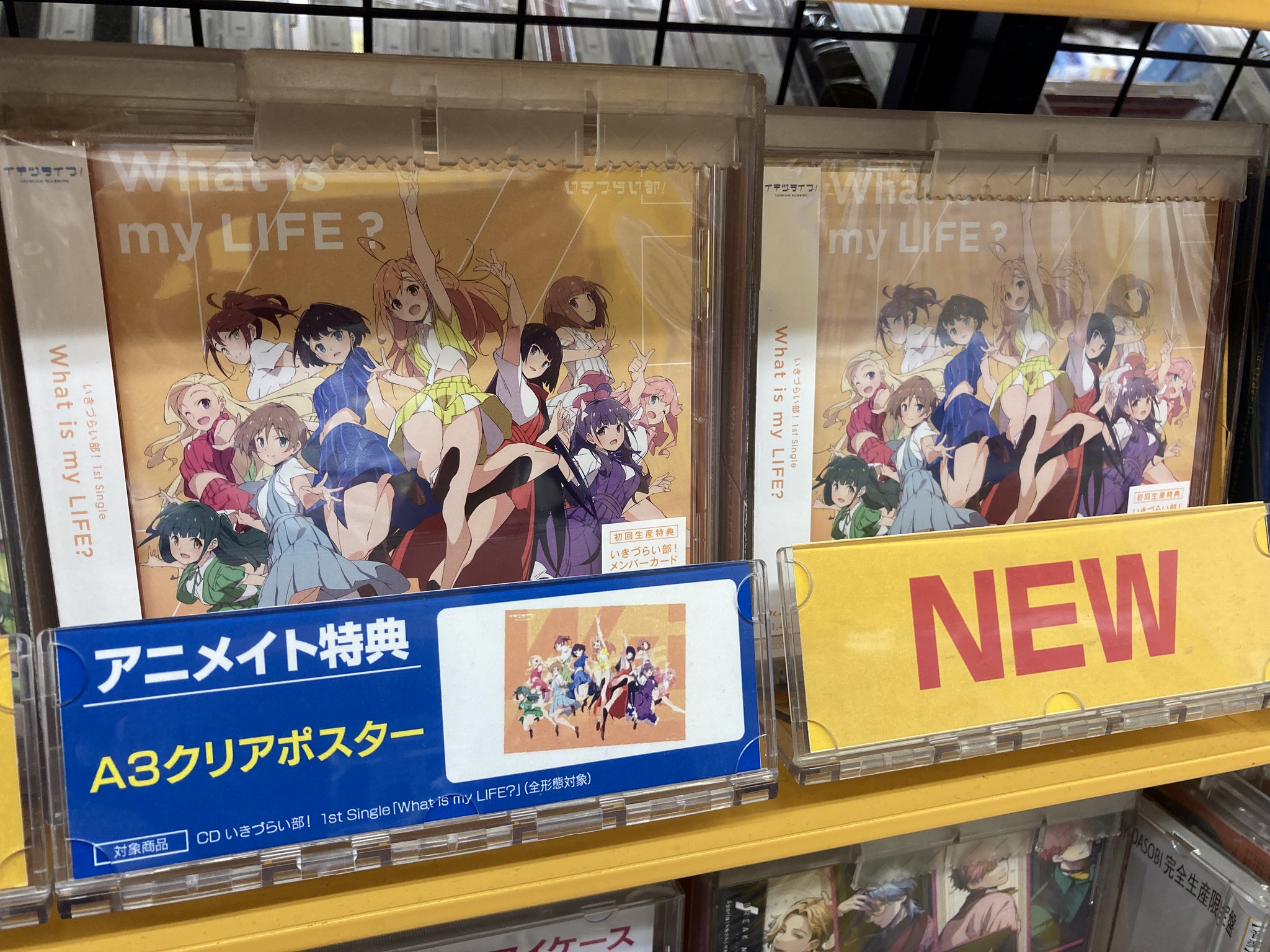 クリアポスター　クイーンズブレイド　リベリオン　アニメイト　全巻購入特典 クイーンズブレイドリベリオン神罰の執行者ライラ 対戦型