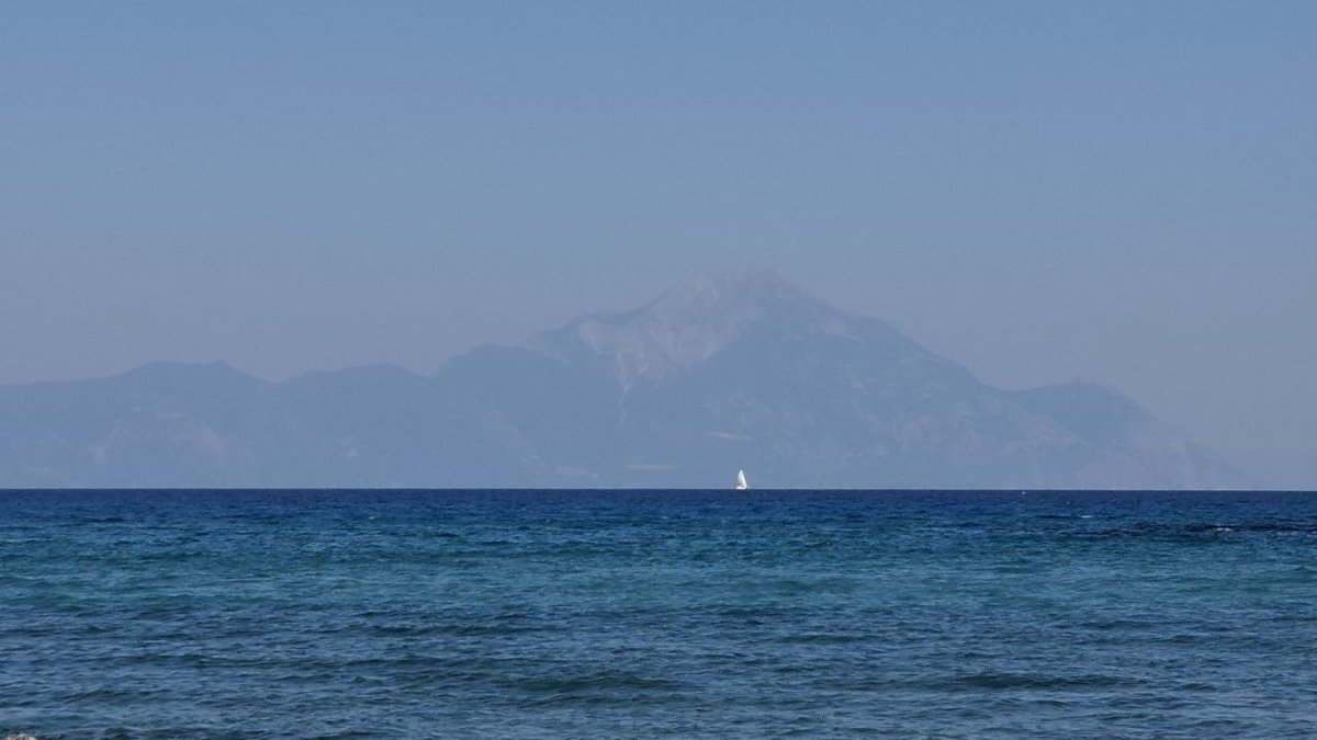 Катерина Галич tweet media