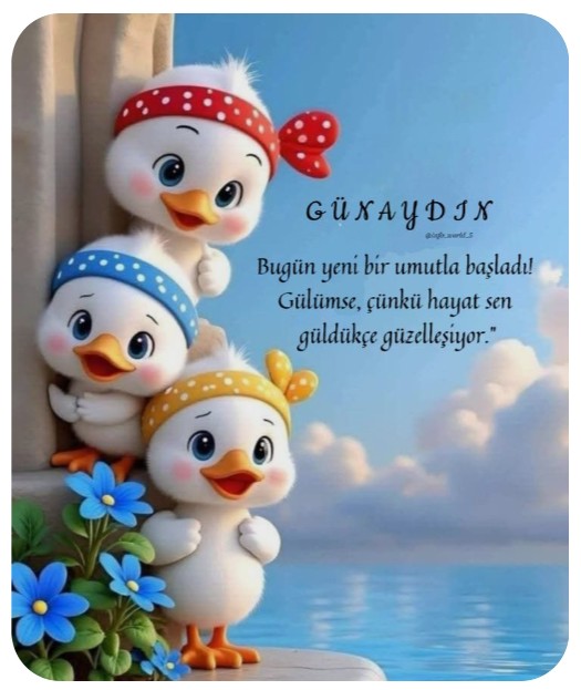 🌞🐞🌞🐞🌞🐞🌞🐞🌞🐞🌞🐞🌞🐞🌞
Canlar yoruma kapatıyorum bu günlerde yine yoğunum. 
Herkese kapalı birilerine açık birilerine kapalı değil 🙏🙏DM yazanlar oluyor 🙏🙏🫶🫶🫶