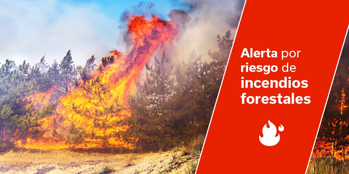 📢 Recuerda, continúa vigente #AlertaRiesgoIF en las islas occidentales y #GranCanaria 

➡️ Seguimos en #PrealertaTemperaturaMáximas en las islas occidentales y #GranCanaria

🌡️Temperaturas máximas que alcanzarán o superarán los 34 - 36ºC

Máxima precaución ‼️
