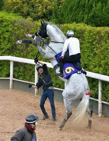 BocchiDrawing Gold Ship ＆ Takatoshi Imanami