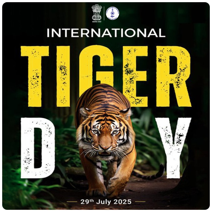 On this International Tiger Day, let’s unite to protect these magnificent creatures and secure their future in the wild. Their majestic presence should continue to grace our forests, adding beauty, strength and balance to the planet.

#InternationalTigerDay #SaveTheTigers