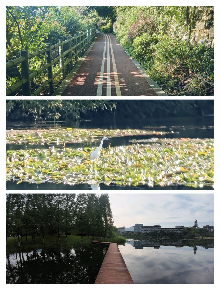 shineal (@shandeming) on Twitter photo 