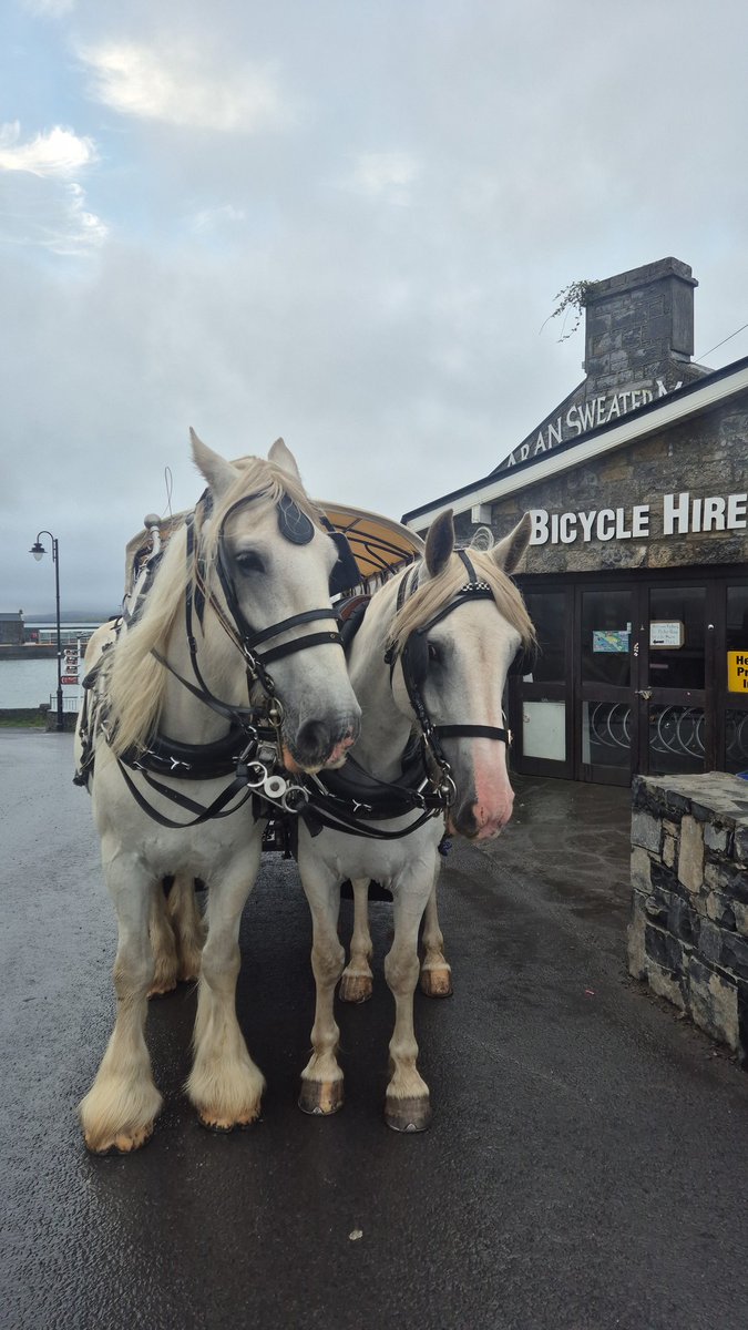 deric_tv's tweet photo. Live from Inis Mor, Aran Islands
📺😍🇮🇪
 @AranIslandFerry 
@IrelandAMVMTV https://t.co/mFoO6l2cgG