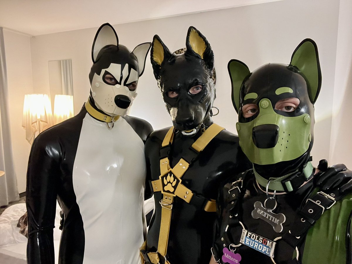 Rave at Awoostria was fire 🔥 
With <a href="/LinuxScurr/">Linux 🔜 EF</a> and <a href="/pupMittens/">Mittens 🇦🇹</a>