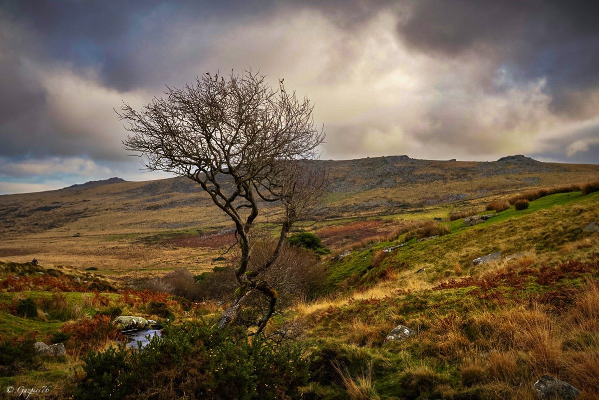 “Adalete aykırı uygulama ve davranışlar, ülkenin viraneye dönmesine yol açması hasebiyle insan neslinin tükenmesine de yol açar.”

İbn-i Haldun
