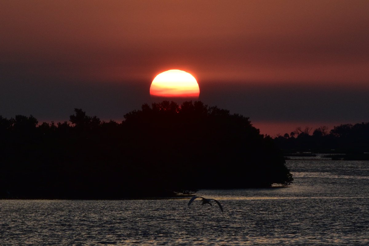 After 5 months...Finally got to see you again..