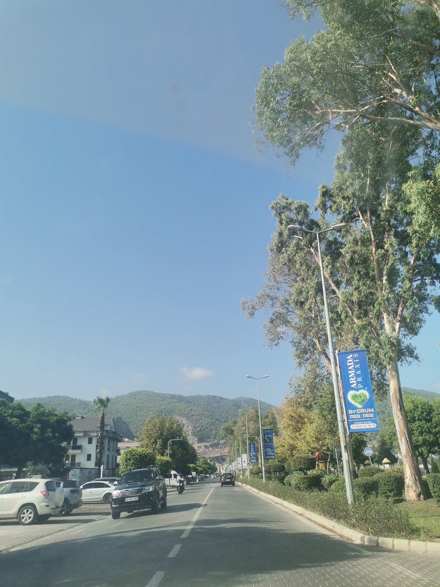 Günaydın mutlu sabahlar.