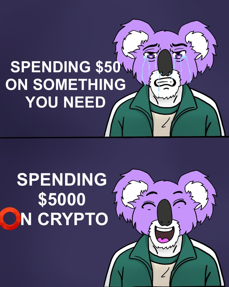 Eternal Koalas tweet media