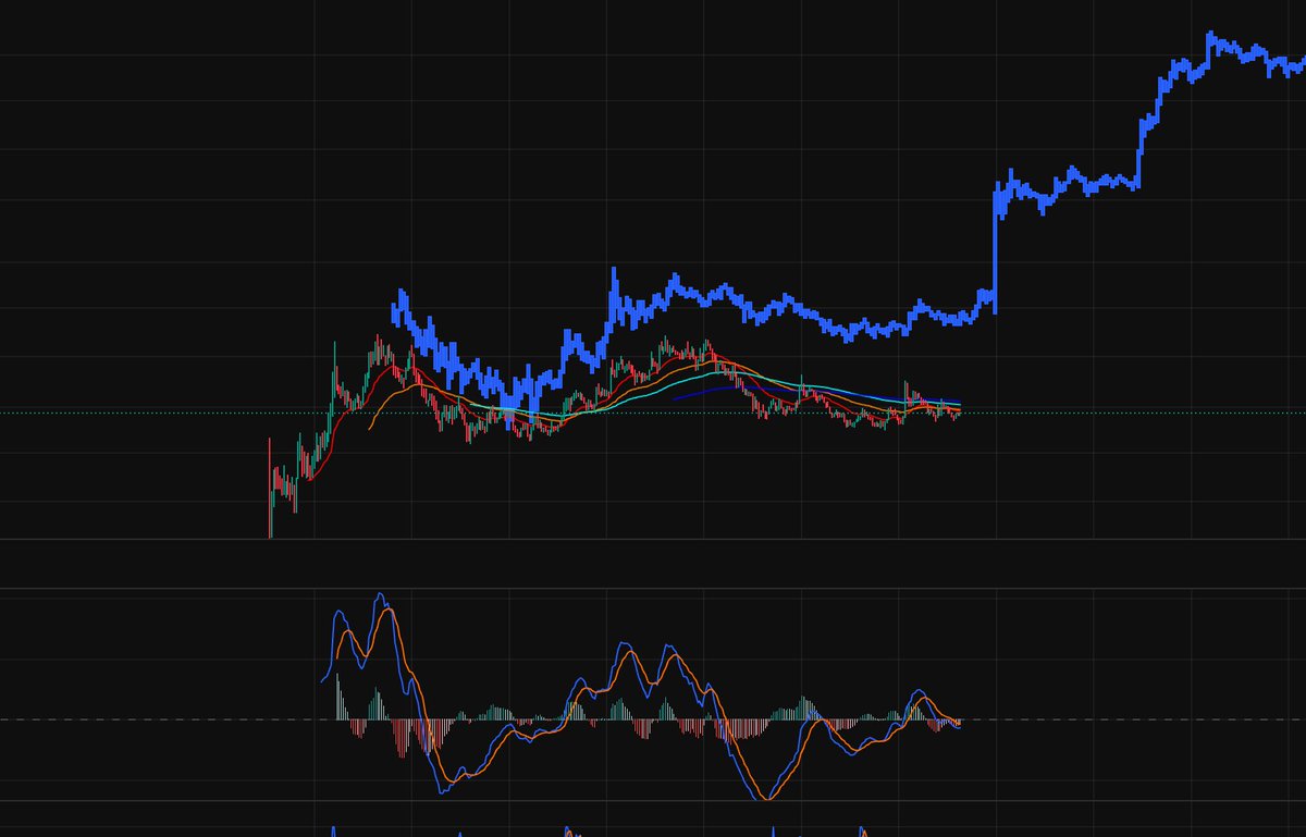 Matcrypto4's tweet image. $ANI is ready to go in my opinion.. 🚀following $PNUT fractal from last November. Think about it, the narrative is there and ELON is behind it. 1B coming in the next few days. Also its on $BONK (lot of hype right now).. many Bonk plays about to go parabolic as well once $ANI…