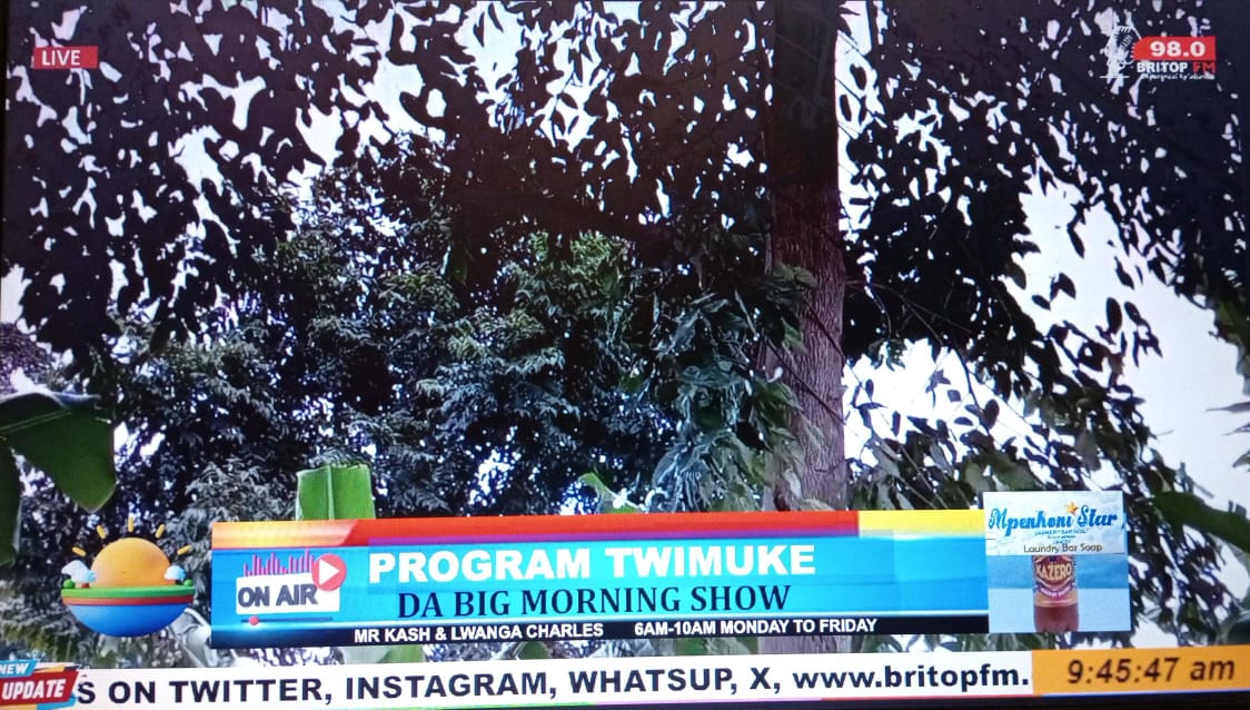 britop_fm's tweet photo. https://t.co/ydqTiwNEDs
Twimuke program in the farm https://t.co/C07wwrpQwr